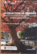 La  collection de bonsaïs : arboretum du domaine départemental de la Vallée-aux-Loups, collection Rémy Samson, le bonsaï, œuvre vivante, unique à chaque instant