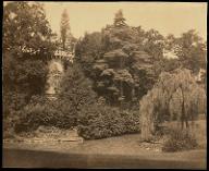 [Meudon : vue d'un fragment du jardin de Mesdames et la Tour de Malborough en 1859]