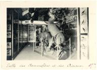Longjumeau : Salle des Mammifères et des Oiseaux
