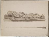 [Saint-Denis : corps embaumé de Louis VIII exhumé en 1793]