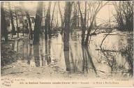 [Bonneuil-sur-Marne : inondation de 1910]